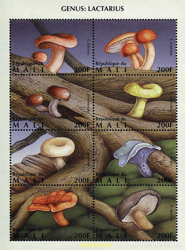 Sellos: 36203 MNH MALI 1996 SETAS