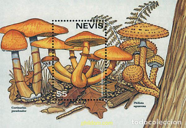 Sellos: 347494 MNH NEVIS 1997 SETAS