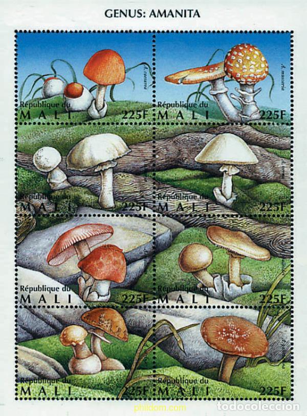 Sellos: 277603 MNH MALI 1996 SETAS