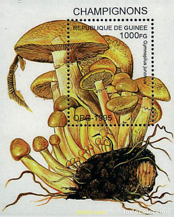 Sellos: 34916 MNH GUINEA 1995 SETAS