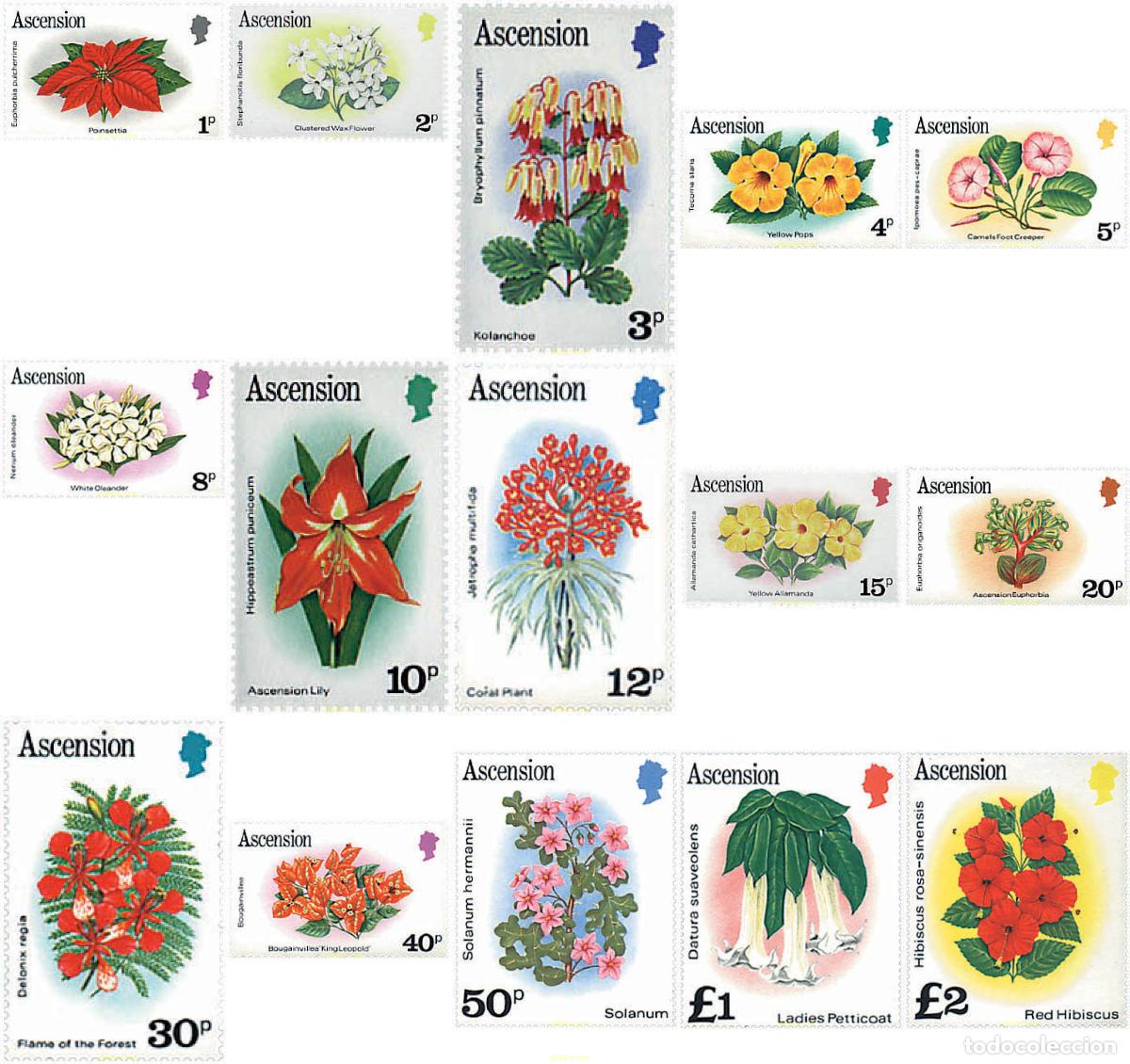 Sellos: 95915 MNH ASCENSION 1981 FLORES
