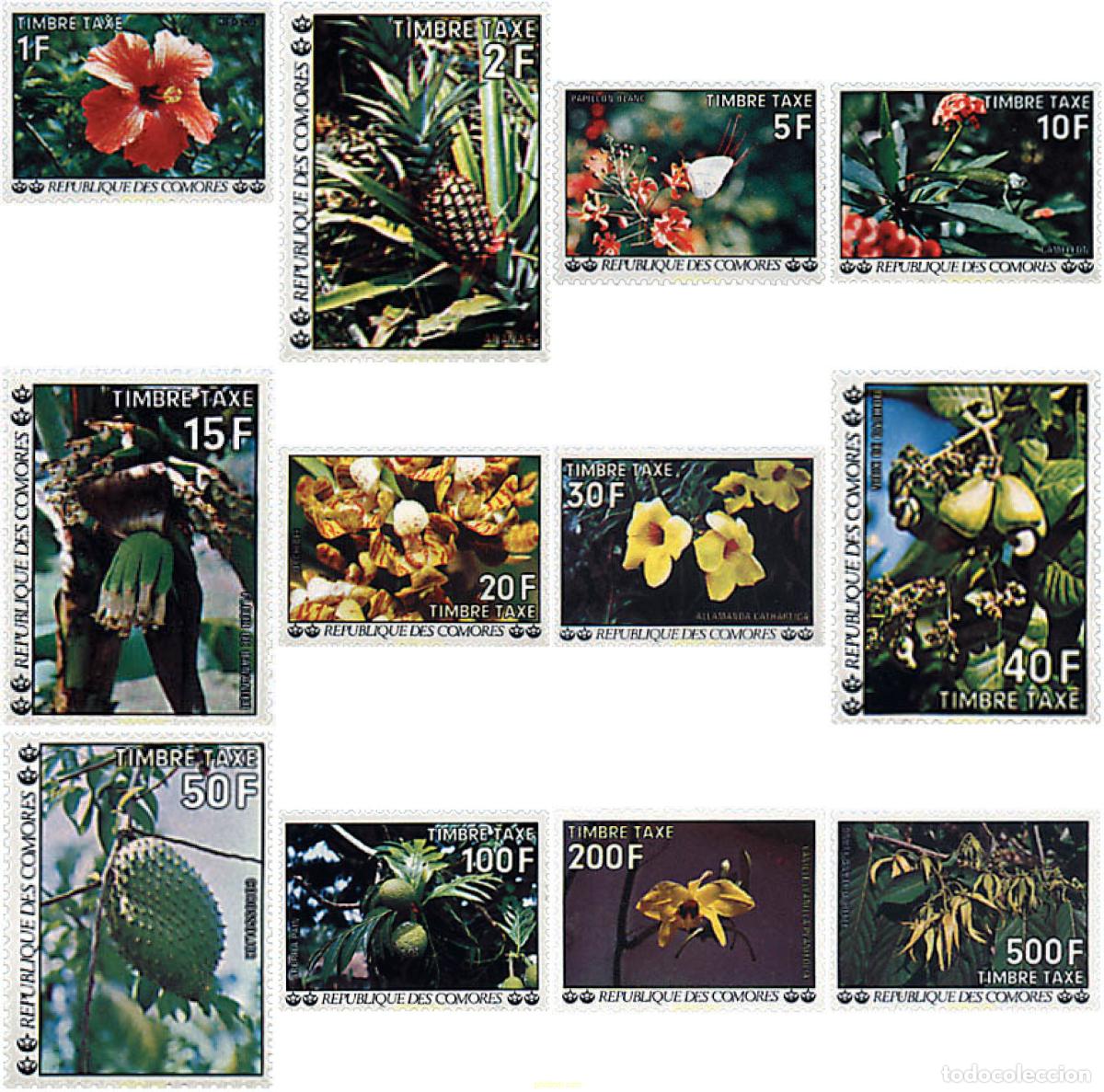 Sellos: 97954 MNH COMORES 1977 FLORA