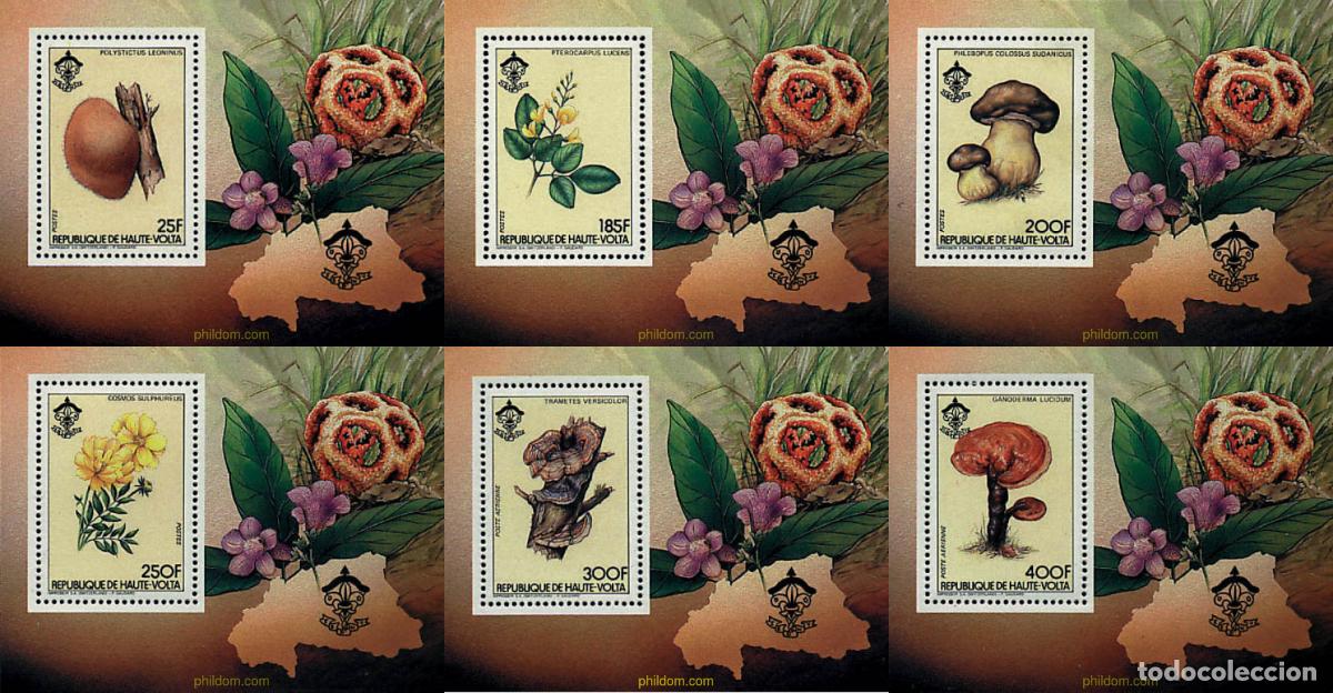 Sellos: 22425 MNH ALTO VOLTA 1984 SETAS Y FLORES LOCALES