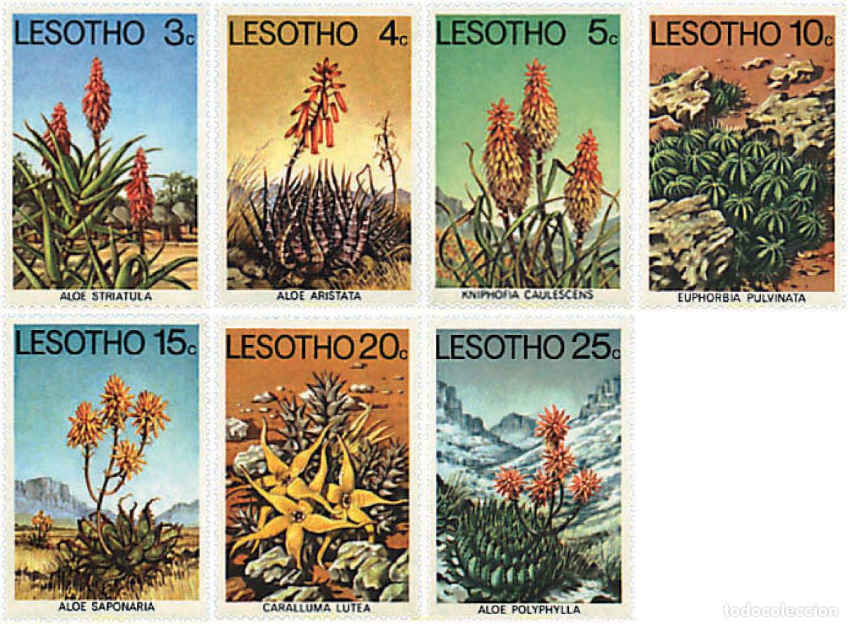 Sellos: 95921 MNH LESOTHO 1977 FLORES