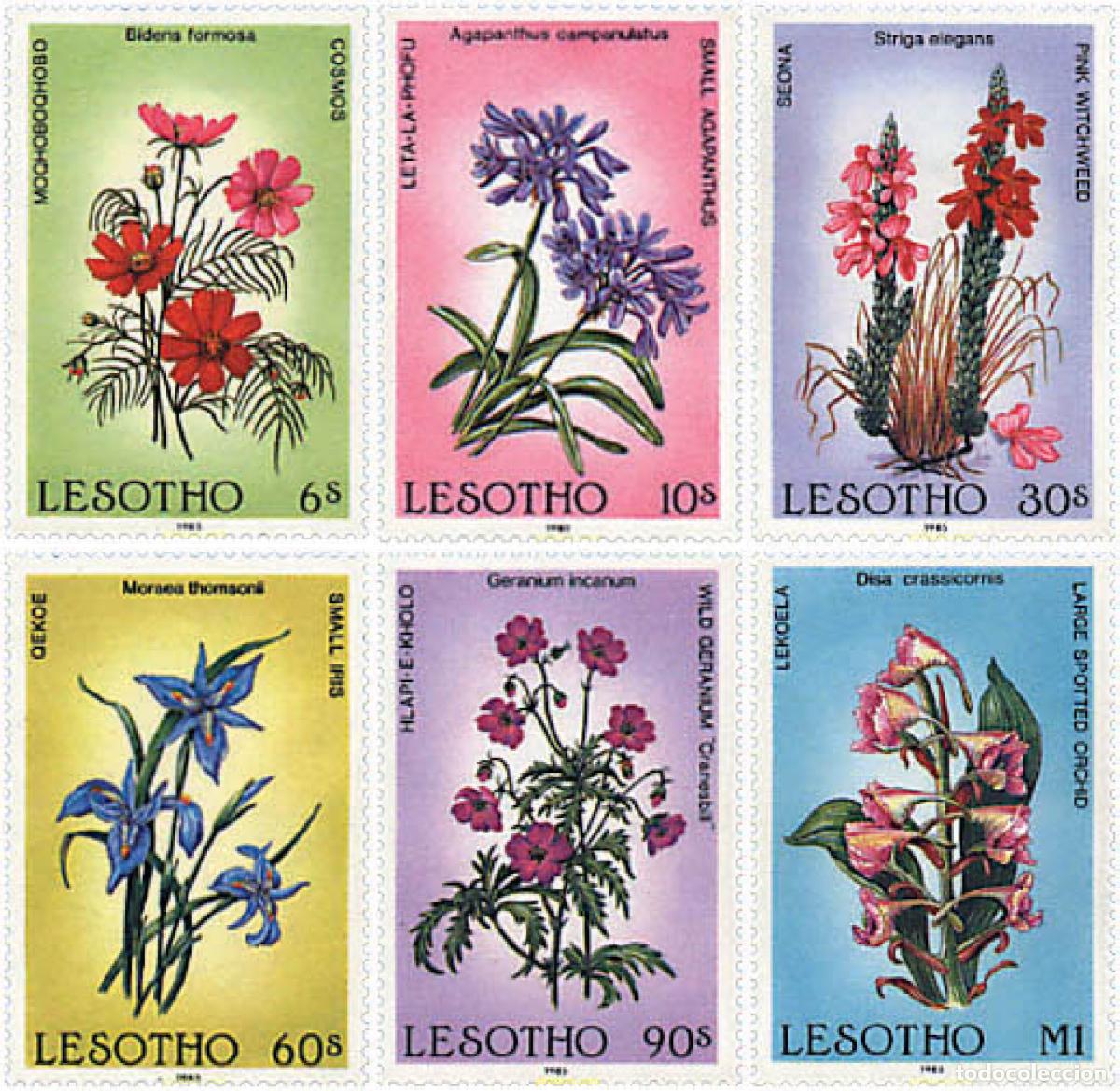 Sellos: 94317 MNH LESOTHO 1985 FLORA