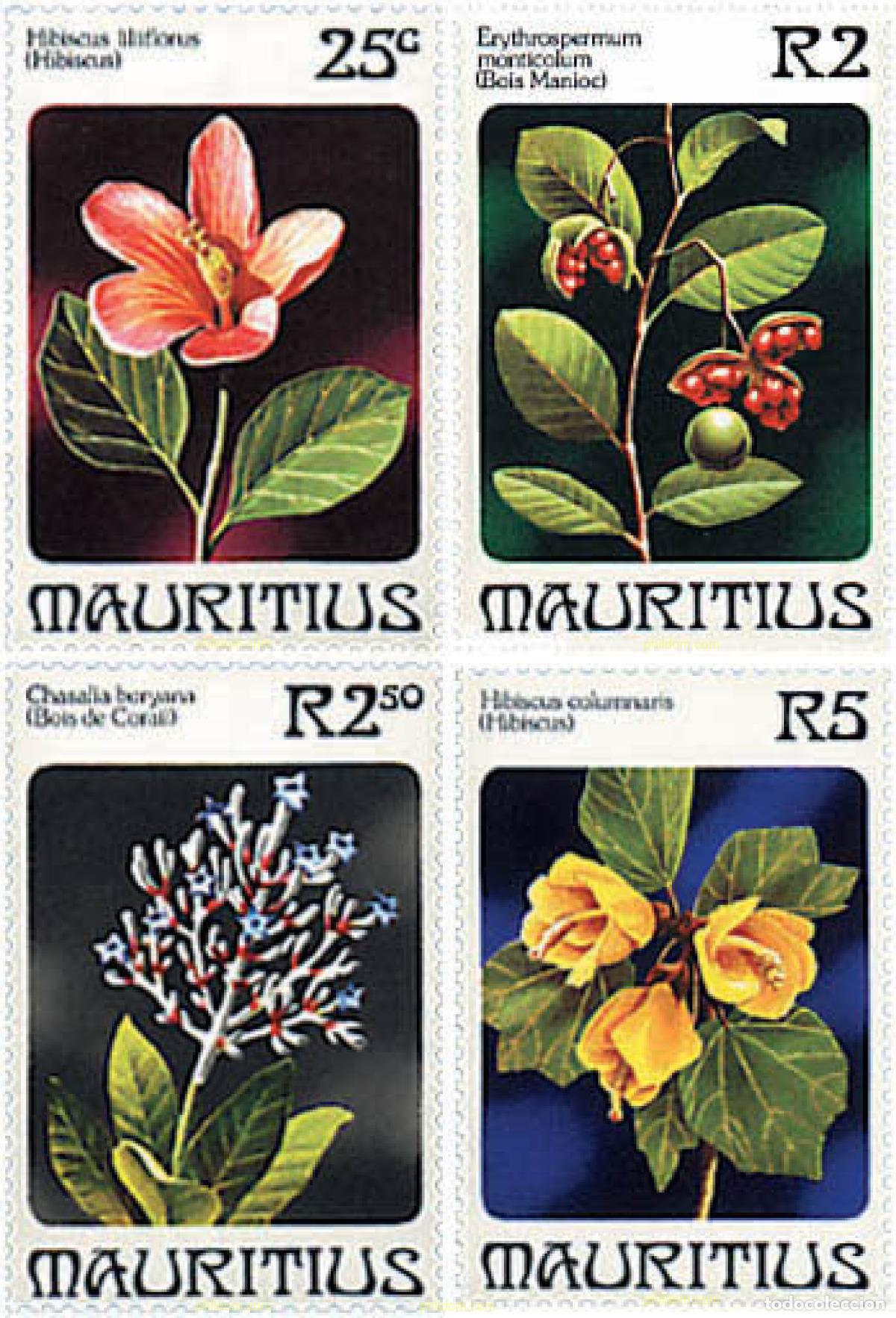 Sellos: 95532 MNH MAURICIO 1981 FLORES