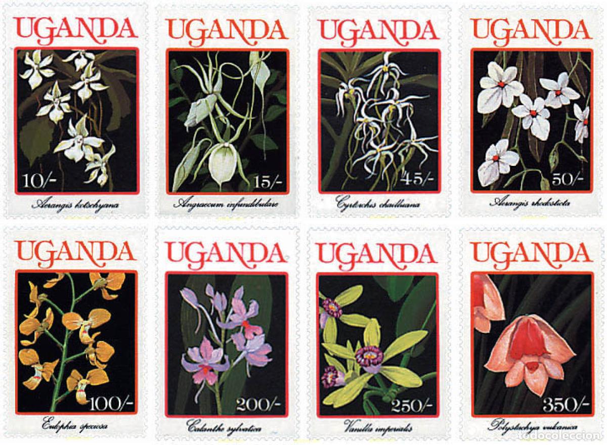 Sellos: 92414 MNH UGANDA 1989 ORQUIDEAS DE UGANDA