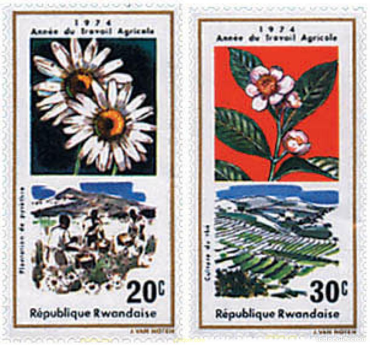 Sellos: 296733 MNH RUANDA 1975 A&Ntilde;O DEL TRABAJO AGRICOLA