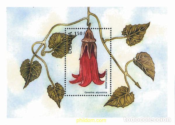 Sellos: 296923 MNH UGANDA 1988 FLORES