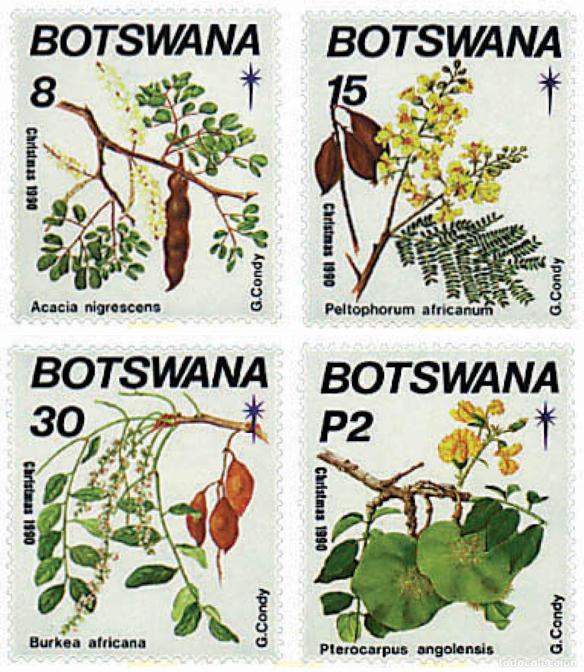 Sellos: 81587 MNH BOTSWANA 1990 NAVIDAD - FLORES Y FRUTOS