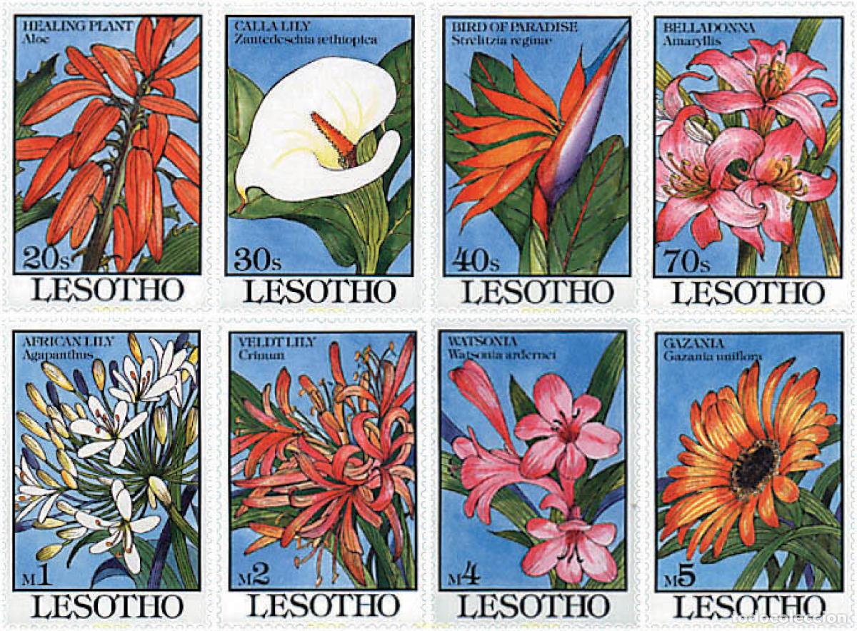 Sellos: 94411 MNH LESOTHO 1993 FLORES