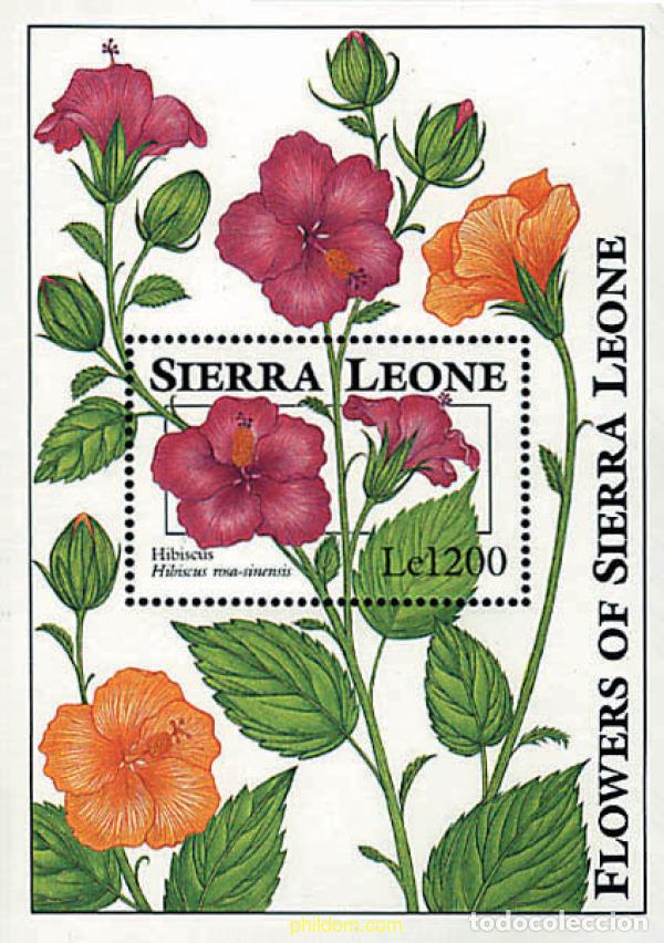Sellos: 362168 MNH SIERRA LEONA 1993 FLORES DE SIERRA LEONA