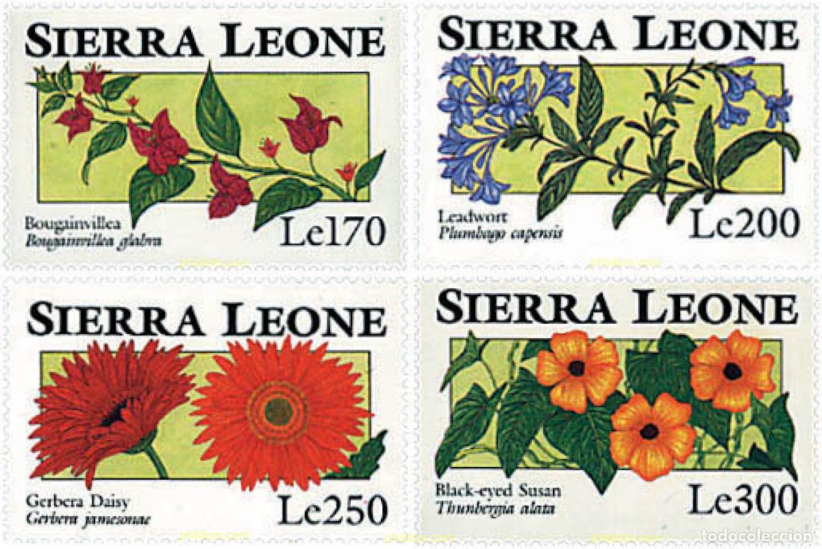 Sellos: 362158 MNH SIERRA LEONA 1993 FLORES DE SIERRA LEONA