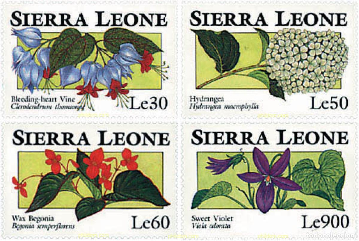 Sellos: 362165 MNH SIERRA LEONA 1993 FLORES DE SIERRA LEONA