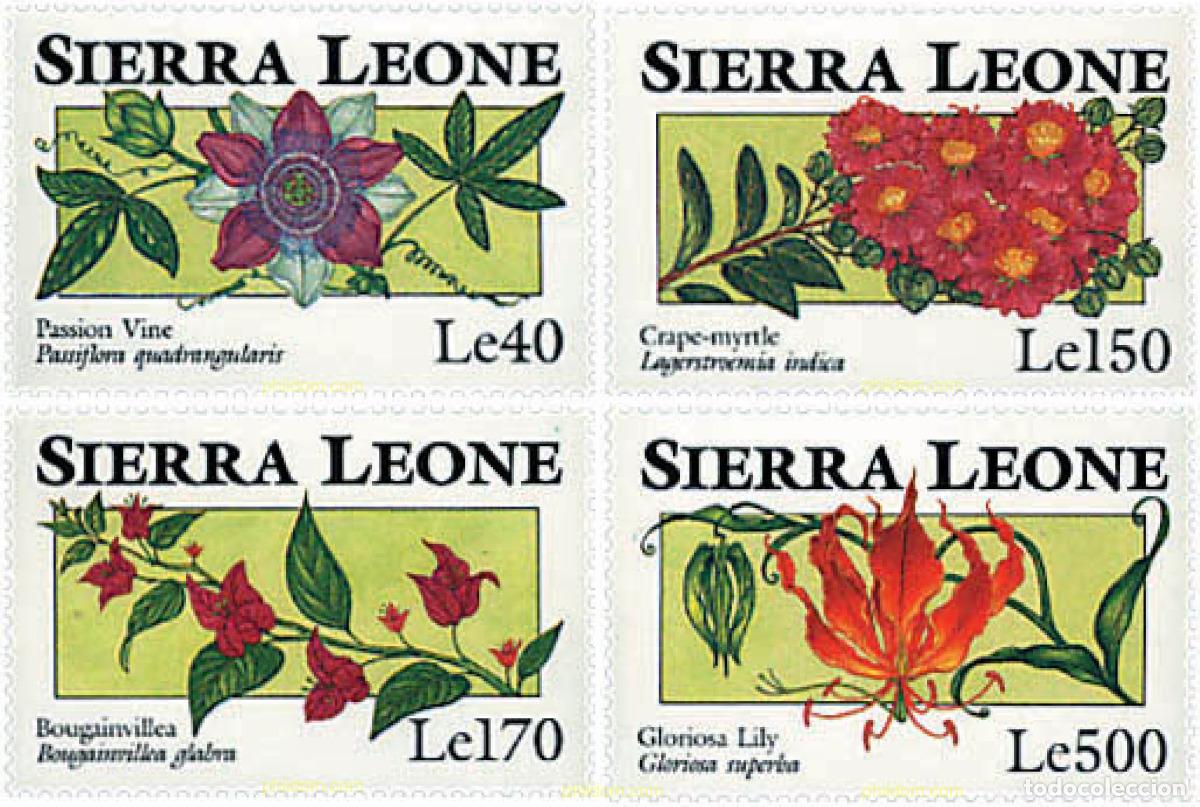 Sellos: 362167 MNH SIERRA LEONA 1993 FLORES DE SIERRA LEONA