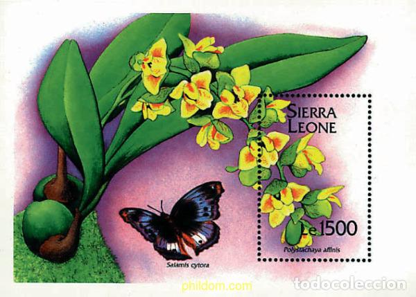 Sellos: 241796 MNH SIERRA LEONA 1994 ORQUIDEAS