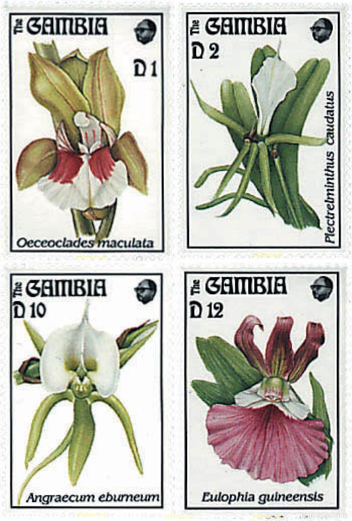 Sellos: 316911 MNH GAMBIA 1994 ORQUIDEAS DE GAMBIA