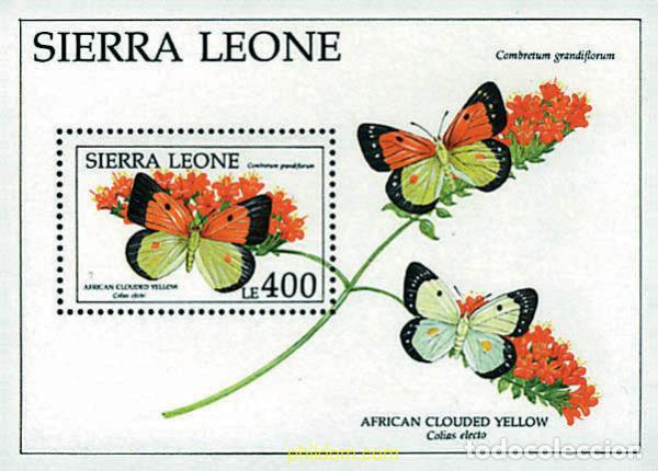 Sellos: 362137 MNH SIERRA LEONA 1991 FLORES Y MARIPOSAS