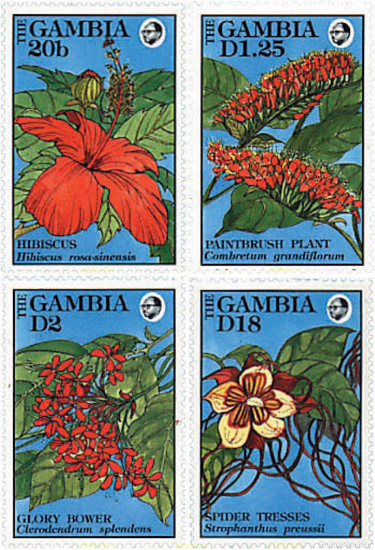 Sellos: 302217 MNH GAMBIA 1992 FLORES