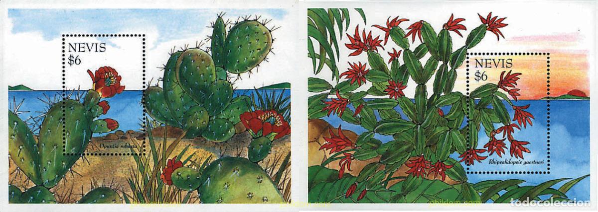 Sellos: 94600 MNH NEVIS 1995 CACTUS