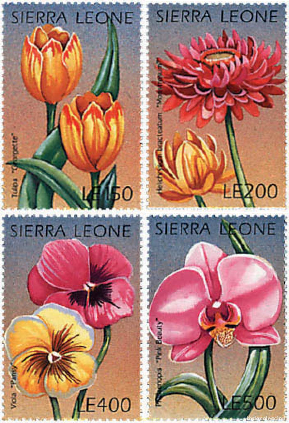 Sellos: 93502 MNH SIERRA LEONA 1996 FLORES DE SIERRA LEONA