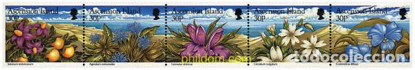 Sellos: 4647 MNH ASCENSION 1997 FLORES SILVESTRES