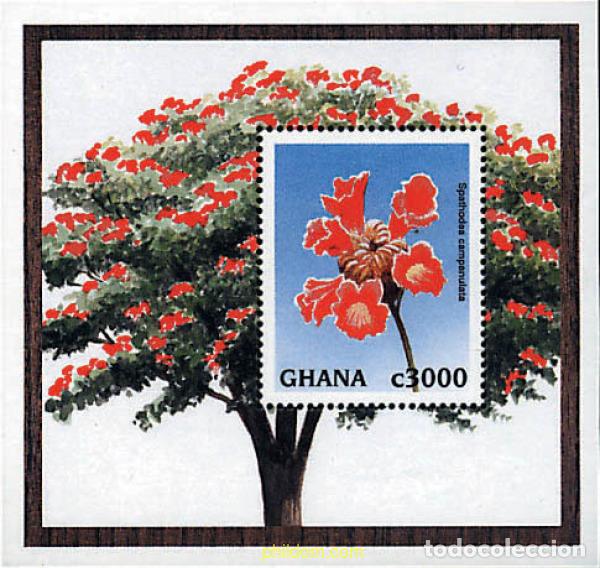 Sellos: 292742 MNH GHANA 1997 FLORES DEL MUNDO