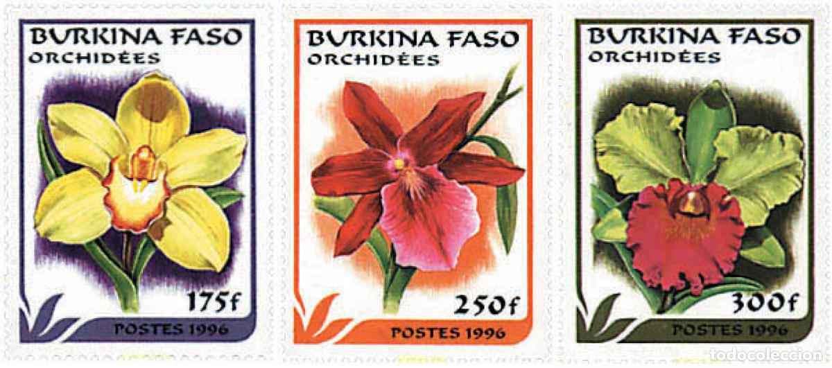 Sellos: 258284 MNH BURKINA FASO 1996 ORQUIDEAS