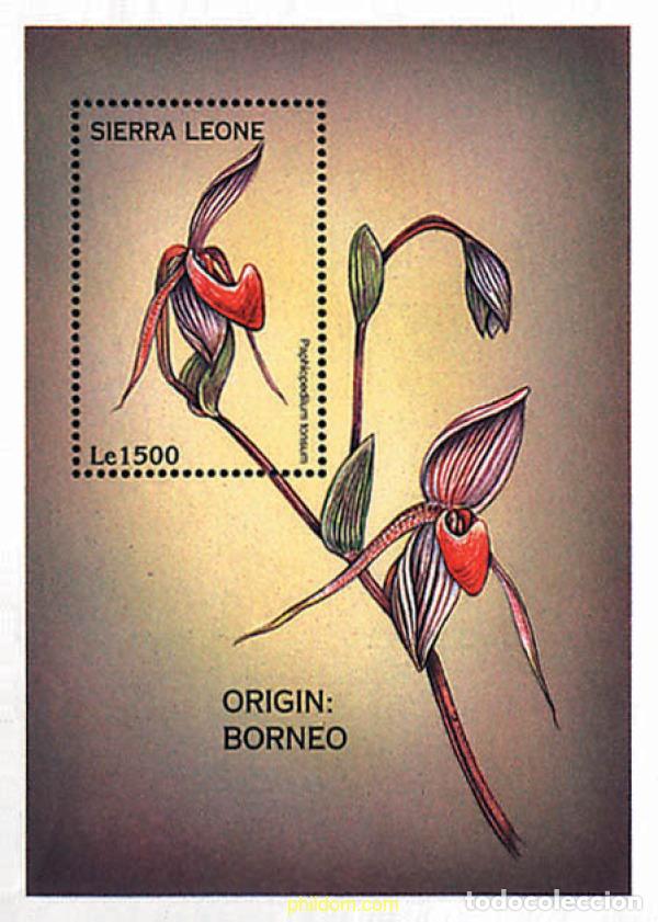 Sellos: 292363 MNH SIERRA LEONA 1997 ORQUIDEAS DEL MUNDO