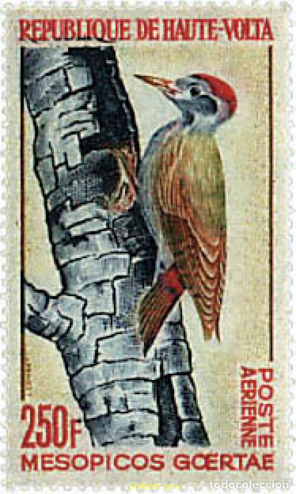 Sellos: 33051 MNH ALTO VOLTA 1964 PAJARO