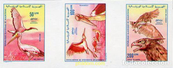 Sellos: 219816 MNH MAURITANIA 1976 AVES