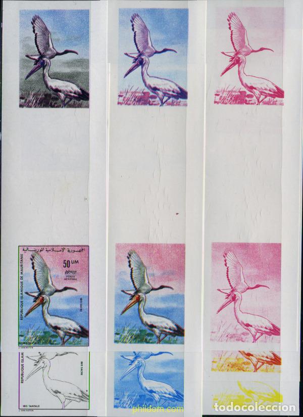 Sellos: 219826 MNH MAURITANIA 1976 AVES