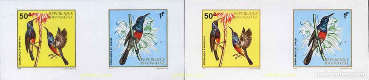 Sellos: 221825 MNH RUANDA 1972 AVES