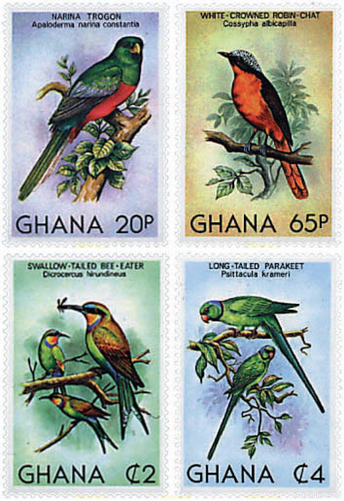 Sellos: 32719 MNH GHANA 1981 AVES