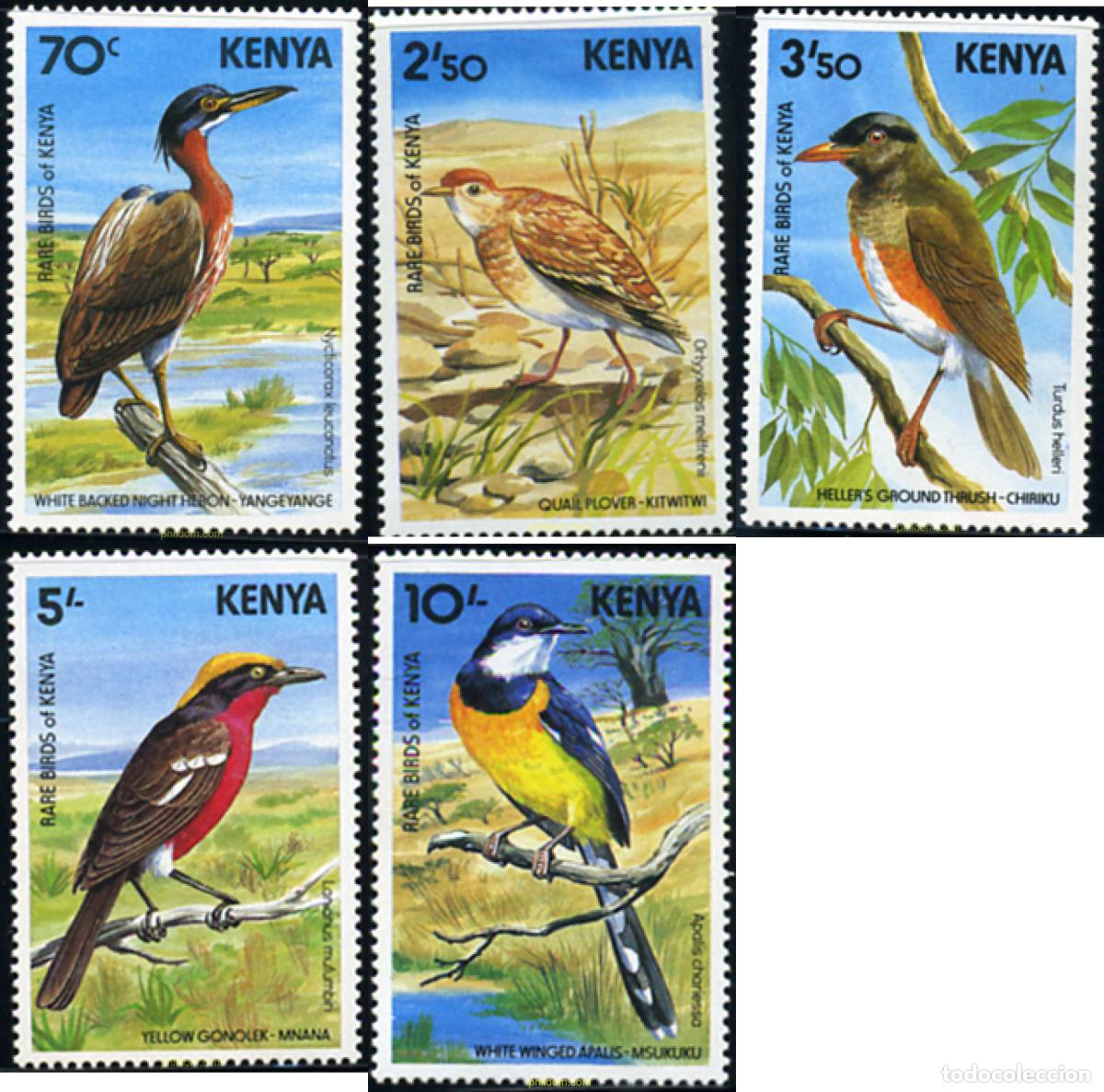 Briefmarken: 33501 MNH KENIA 1984 AVES