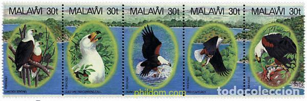 Sellos: 181098 MNH MALAWI 1983 AVES