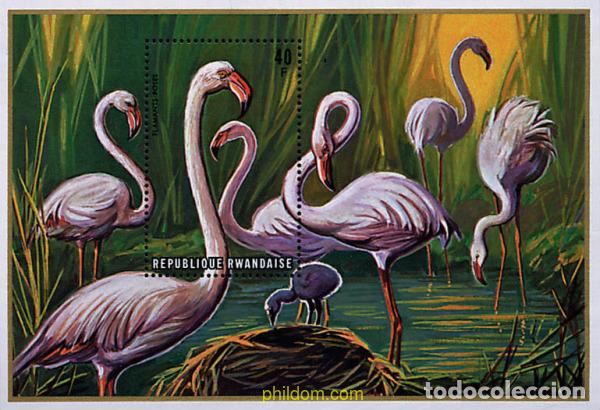 Sellos: 586248 MNH RUANDA 1975 AVES ACUATICAS