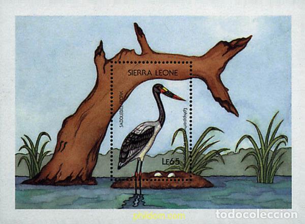 Sellos: 361963 MNH SIERRA LEONA 1988 AVES