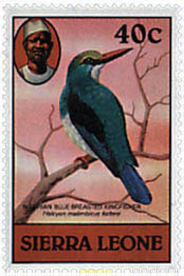 Sellos: 597784 MNH SIERRA LEONA 1980 AVES