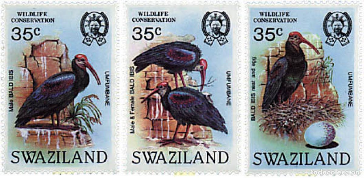 Sellos: 238939 MNH SWAZILANDIA 1984 PROTECCION DE LA VIDA SALVAJE