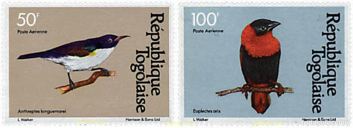 Sellos: 648096 MNH TOGO 1981 AVES