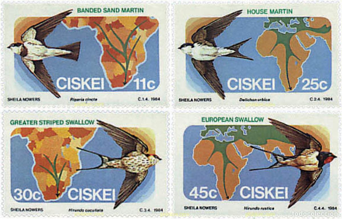Sellos: 34039 MNH CISKEI 1984 AVES