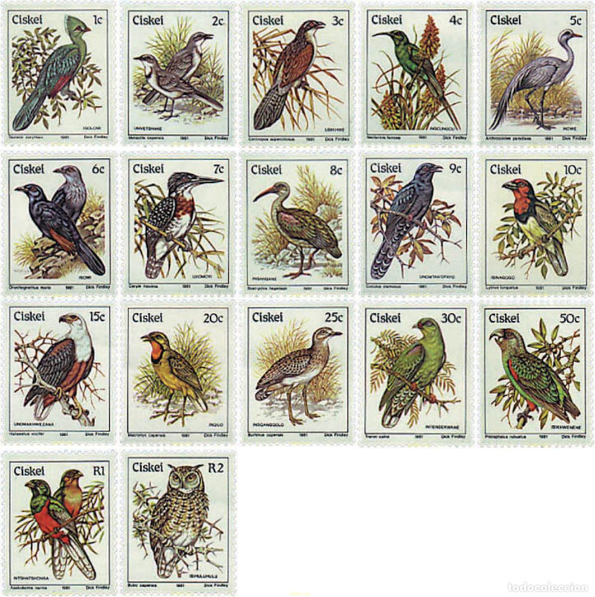 Sellos: 32717 MNH CISKEI 1981 AVES