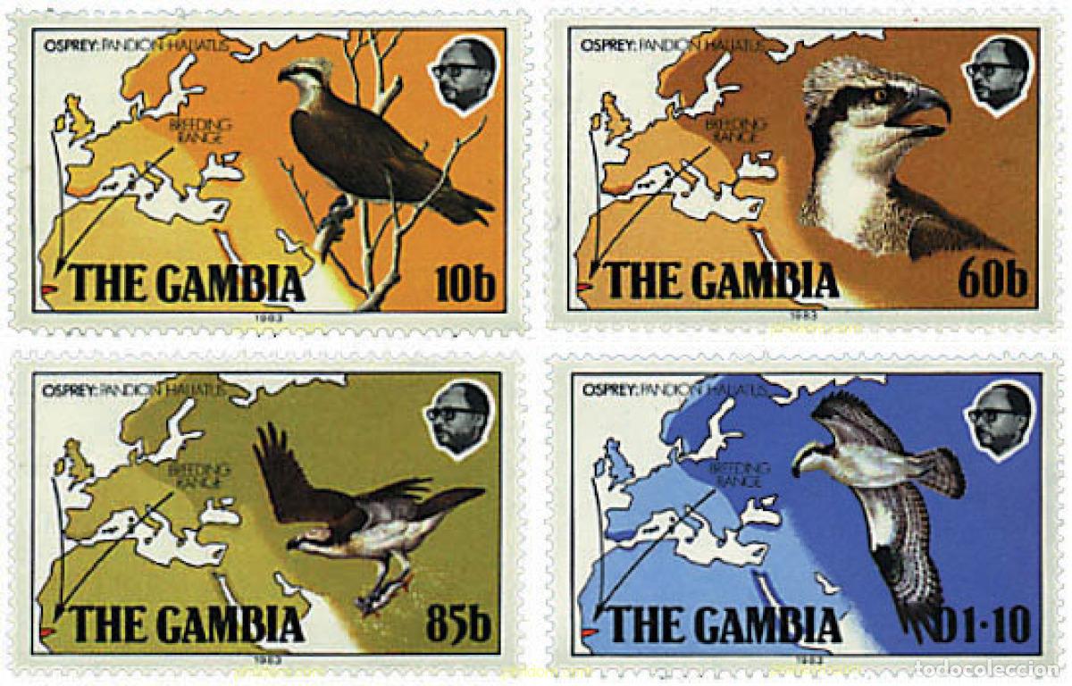 Sellos: 33437 MNH GAMBIA 1983 AVES