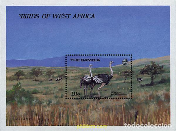 Sellos: 316807 MNH GAMBIA 1989 AVES