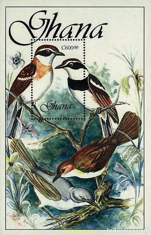 Sellos: 231467 MNH GHANA 1989 AVES