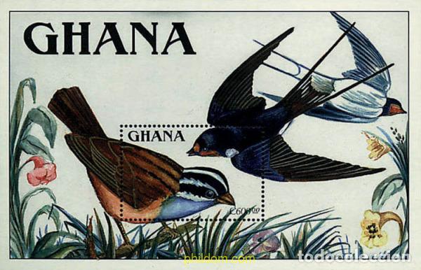 Sellos: 243832 MNH GHANA 1989 AVES