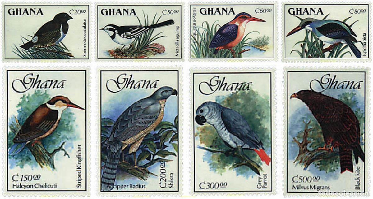 Sellos: 36614 MNH GHANA 1989 AVES