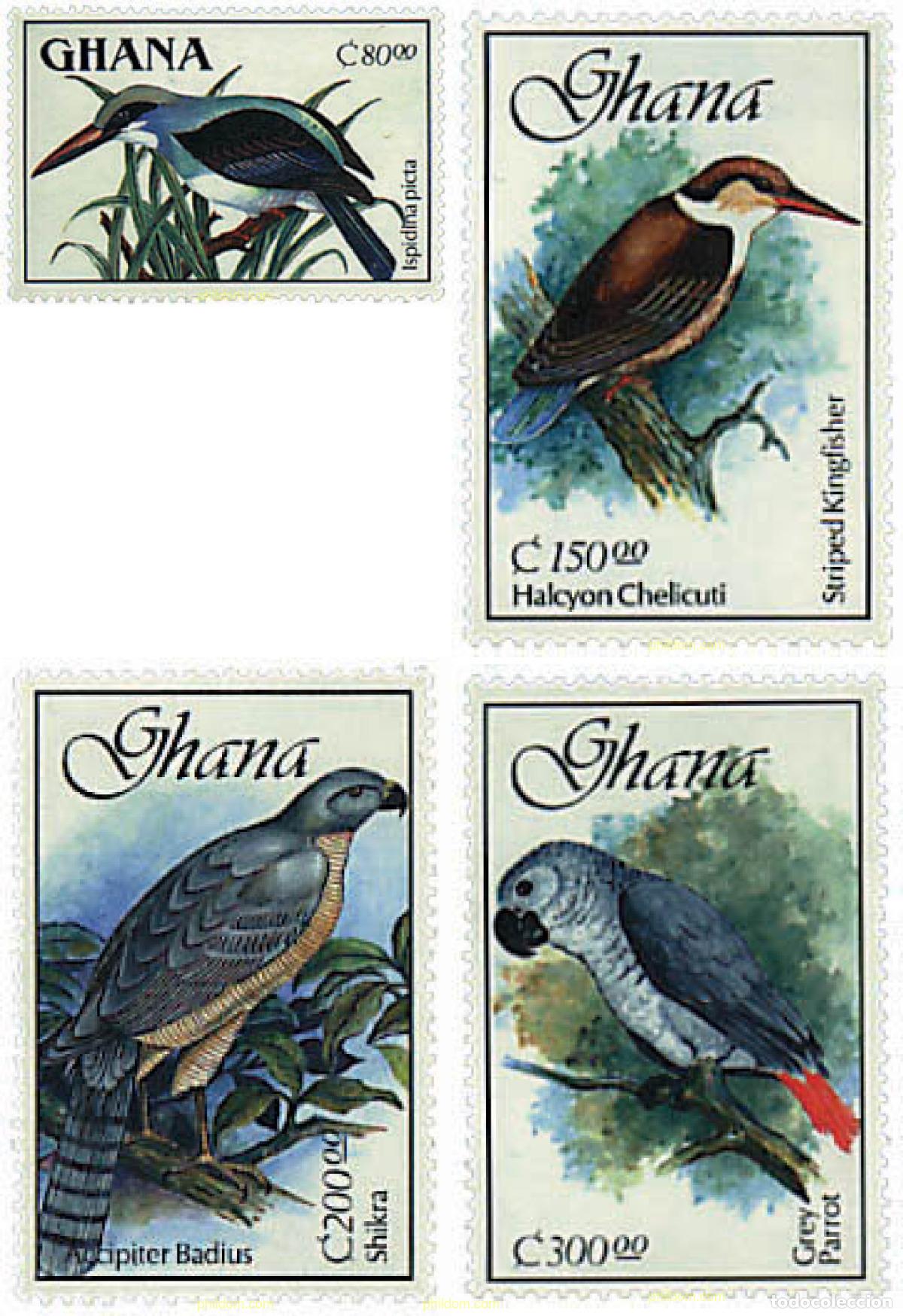 Sellos: 335661 MNH GHANA 1989 AVES