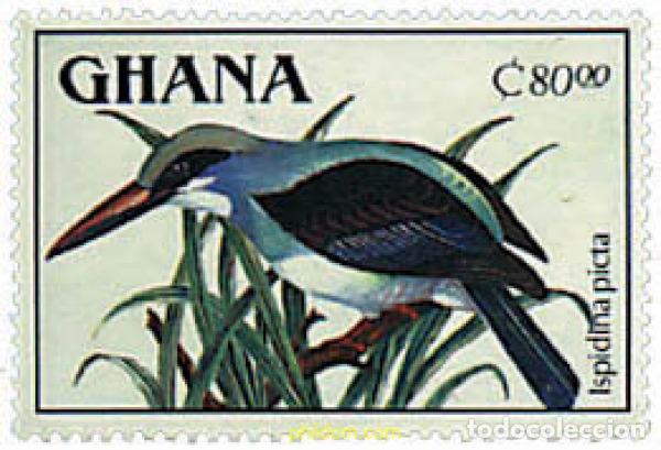 Sellos: 597797 MNH GHANA 1989 AVES